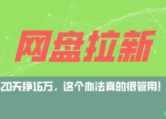 网盘拉新+私域全自动玩法，0粉起号，小白可做，当天见收益，已测单日破5000