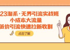 2023淘系·无界引流实战班:小成本大流量,低价引流快速拉新收割