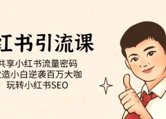 小红书引流课「共享小红书流量密码 改造小白逆袭百万大咖 玩转小红书SEO」