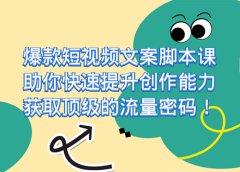 爆款短视频文案课,助你快速提升创作能力,获取顶级的流量密码!