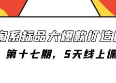 淘系标品大爆款打造课-第十七期,5天线上课
