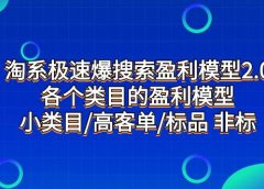 淘系极速爆搜索盈利模型2.0,各个类目的盈利模型,小类目/高客单/标品 非标