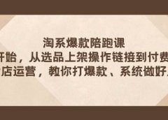 淘系爆款陪跑课 从选品上架操作链接到付费放大 全店运营 打爆款 系统做好店