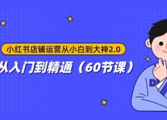 小红书店铺运营从小白到大神2.0,从入门到精通(60节课)
