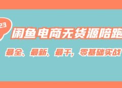 闲鱼电商无货源陪跑课，最全、最新、最干，零基础实战！