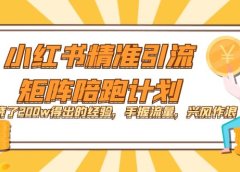 小红书精准引流·矩阵陪跑计划:烧了200w得出的经验,手握流量,兴风作浪!
