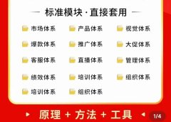 外面卖198·电商企业经营管理工具:全套执行落地方案 标准模块·直接套用