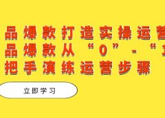 单品爆款打造实操运营,单品爆款从“0”-“1”手把手演练运营步骤