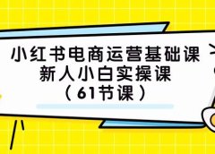 小红书电商运营基础课,新人小白实操课(61节课)