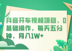 抖音开车视频项目,0基础操作,每天五分钟,月入1W+