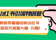 小红书引流特训营-第5期:教你零基础玩转小红书,逆袭百万流量大咖