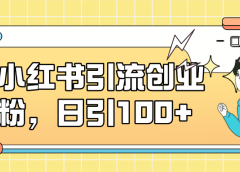 小红书引流创业粉,日引100+,小白可上手,可矩阵操作
