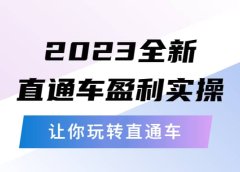 2023全新直通车·盈利实操:从底层,策略到搭建,让你玩转直通车