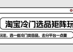 淘宝冷门选品矩阵玩法:换种玩法,选一些冷门类目品,去分平台一点羹