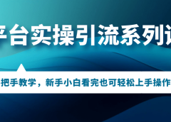 多平台实操引流系列课程,手把手教学,新手小白看完也可轻松上手引流操作