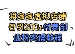 拼多多虚拟店铺日引200+付费创业粉实操教程