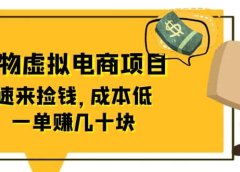 东哲日记:全网首创实物虚拟电商项目,速来捡钱,成本低,一单赚几十块!