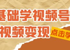 0基础学-视频号短视频变现:适合新人学习的短视频变现课(10节课)