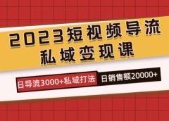 2023短视频导流·私域变现课,日导流3000+私域打法 日销售额2w+
