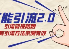 绅白·万能引流2.0,引流变现陪跑,所有引流方法亲测有效