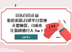 京东自营正品,低价渠道,自建平台变现,无需囤货,0成本,让你快速月入3w+