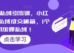 小红书私域引流课,小红书引流私域成交秘籍,1个月加爆私域