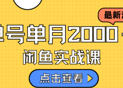 咸鱼虚拟资料新模式，月入2w＋，可批量复制，单号一天50-60没问题 多号多撸