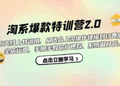 淘系爆款特训营2.0【第六期】从选品上架到付费放大 全店运营 打爆款 做好店