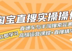 淘宝直搜实操操作 直通车与手淘搜索完美结合(高级运营课程+直搜精华实战)