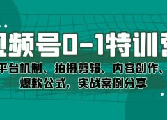 视频号0-1特训营:平台机制、拍摄剪辑、内容创作、爆款公式,实战案例分享