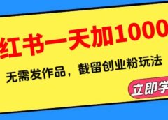 小红书一天加1000群,无需发作品,截留创业粉玩法 (附软件)