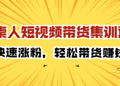 素人短视频带货集训营:快速涨粉,轻松带货赚钱