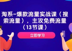 淘系-爆款流量实战课(搜索流量),主攻免费流量(13节课)
