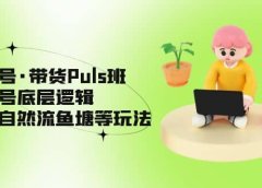 视频号·带货Puls班,视频号底层逻辑,起号自然流鱼塘等玩法