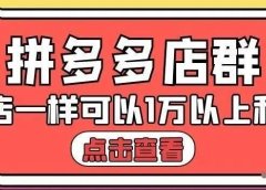 拼多多店群单店一样可以产出1万5以上利润【付费文章】