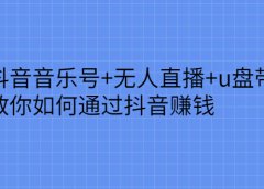 抖音音乐号+无人直播+u盘带货，教你如何通过抖音赚钱