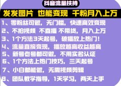 抖音发图就能赚钱:千粉月入上万实操文档,全是干货