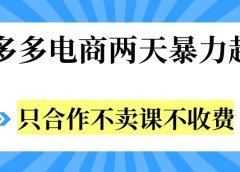 拼多多两天暴力起店,只合作不卖课不收费