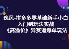 拼多多零基础新手小白入门到玩法实战《高溢价》异赛道爆单玩法实操课