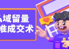 私域留量精准成交术,学习打造自己的私域流量,价值699元