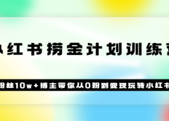《小红书捞金计划训练营》粉丝10w+博主带你从0粉到变现玩转小红书(72节课)