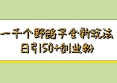 一千个野路子全新玩法 日引50+创业粉