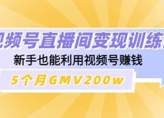 视频号直播间变现训练营