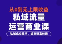 从0到无上限收益的《私域流量运营商业课》私域成交技巧,拔高财富转速