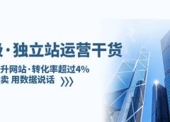 独立站运营干货:全面提升网站·转化率超过4%,轻松大卖 用数据说话