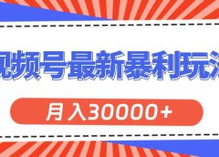 视频号最新暴利玩法,轻松月入30000+