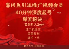 闲鱼暴力引流推广视频会员,能做到日入2W+,操作简单