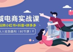 全域电商实战课:从入驻到盈利,带你玩转小红书+抖音+拼多多(80节课)