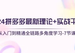 2024拼多多 最新理论+实战干货,从入门到精通全链路多角度学习-7节课