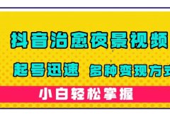 抖音治愈系夜景视频,起号迅速,多种变现方式,小白轻松掌握(附120G素材)